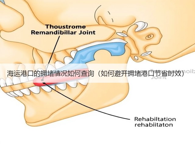 海运港口的拥堵情况如何查询(如何避开拥堵港口节省时效)(图3) 海运港口的拥堵情况如何查询(如何避开拥堵港口节省时效)(图3)