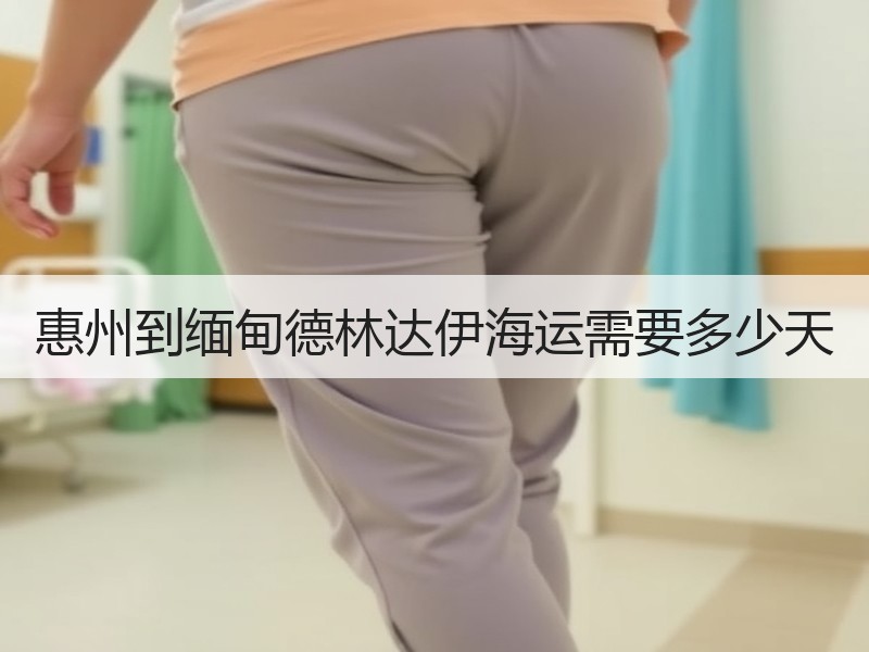 惠州到缅甸德林达伊海运需要多少天 惠州到缅甸德林达伊海运需要多少天