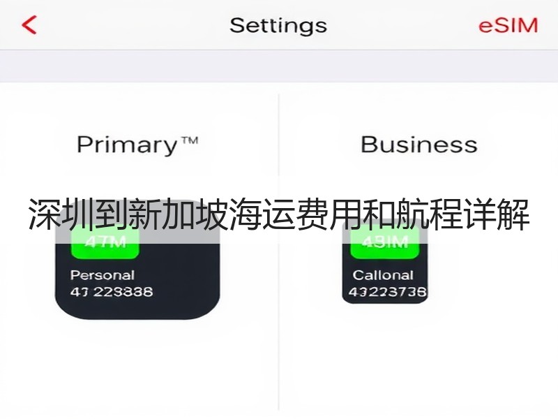 深圳到新加坡海运费用和航程详解 深圳到新加坡海运费用和航程详解