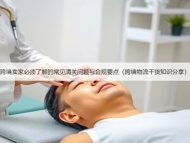 跨境卖家必须了解的常见清关问题与合规要点（跨境物流干货知识分享）(图3)
