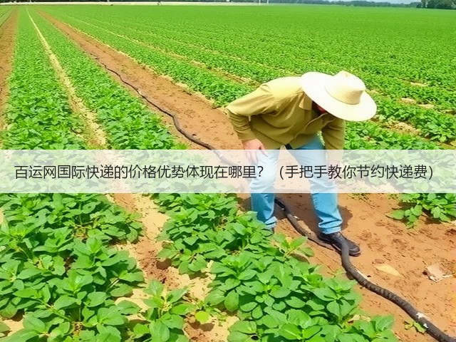 百运网国际快递的价格优势体现在哪里?(手把手教你节约快递费)(图3) 百运网国际快递的价格优势体现在哪里?(手把手教你节约快递费)(图3)