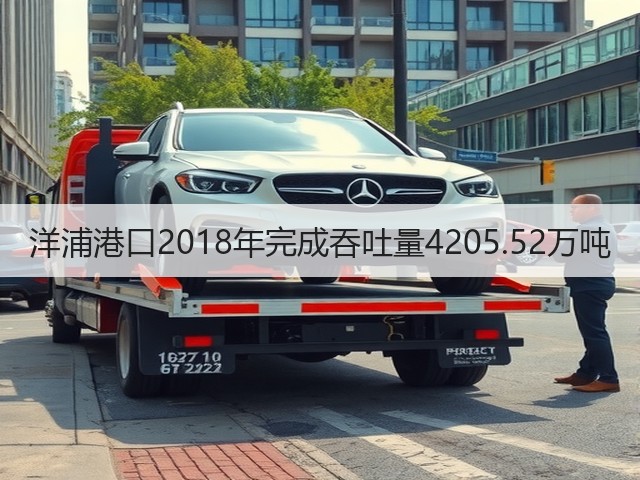 洋浦港口2018年完成吞吐量4205.52万吨(图1) 洋浦港口2018年完成吞吐量4205.52万吨(图1)