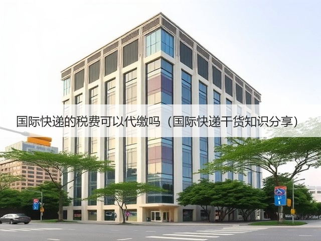 国际快递的税费可以代缴吗(国际快递干货知识分享)(图1) 国际快递的税费可以代缴吗(国际快递干货知识分享)(图1)