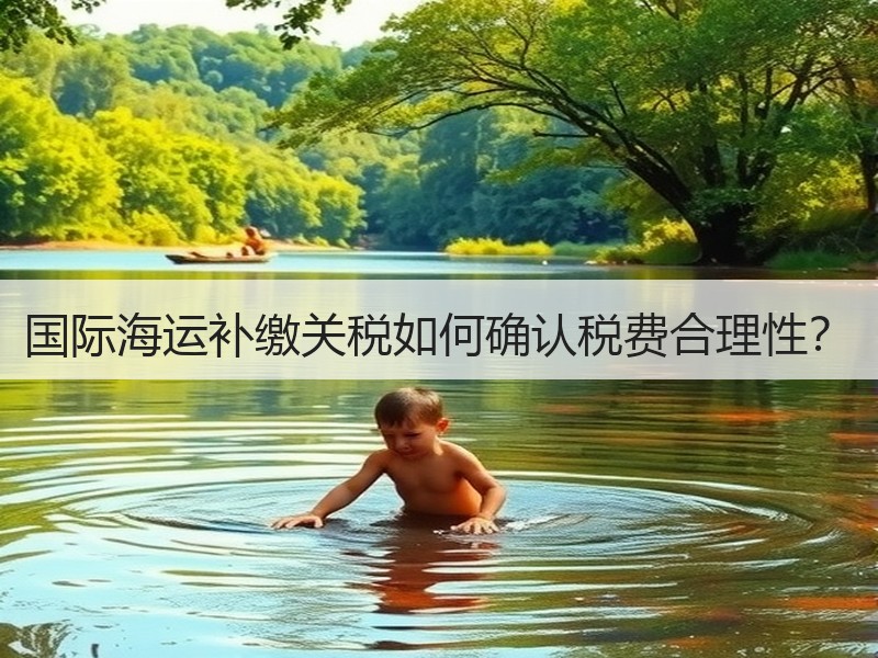 国际海运补缴关税如何确认税费合理性？