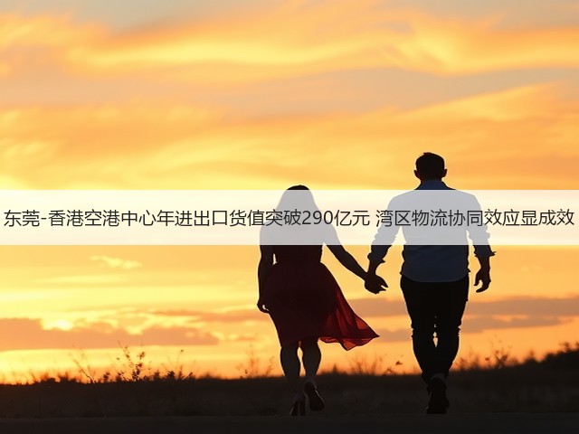 东莞-香港空港中心年进出口货值突破290亿元 湾区物流协同效应显成效(图2) 东莞-香港空港中心年进出口货值突破290亿元 湾区物流协同效应显成效(图2)