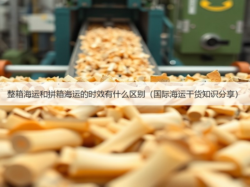 整箱海运和拼箱海运的时效有什么区别（国际海运干货知识分享）