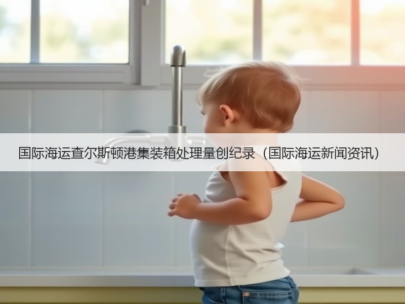 国际海运查尔斯顿港集装箱处理量创纪录(国际海运新闻资讯) 国际海运查尔斯顿港集装箱处理量创纪录(国际海运新闻资讯)