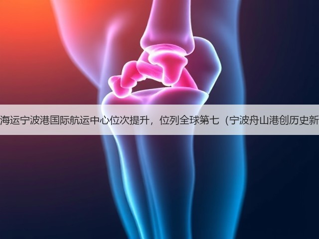 国际海运宁波港国际航运中心位次提升,位列全球第七(宁波舟山港创历史新高)(图3) 国际海运宁波港国际航运中心位次提升,位列全球第七(宁波舟山港创历史新高)(图3)