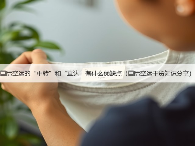 国际空运的“中转”和“直达”有什么优缺点(国际空运干货知识分享)(图3) 国际空运的“中转”和“直达”有什么优缺点(国际空运干货知识分享)(图3)
