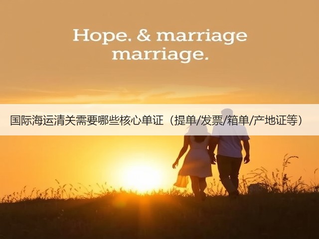 国际海运清关需要哪些核心单证(提单/发票/箱单/产地证等)(图3) 国际海运清关需要哪些核心单证(提单/发票/箱单/产地证等)(图3)