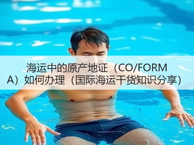 海运中的原产地证（CO/FORM A）如何办理（国际海运干货知识分享）