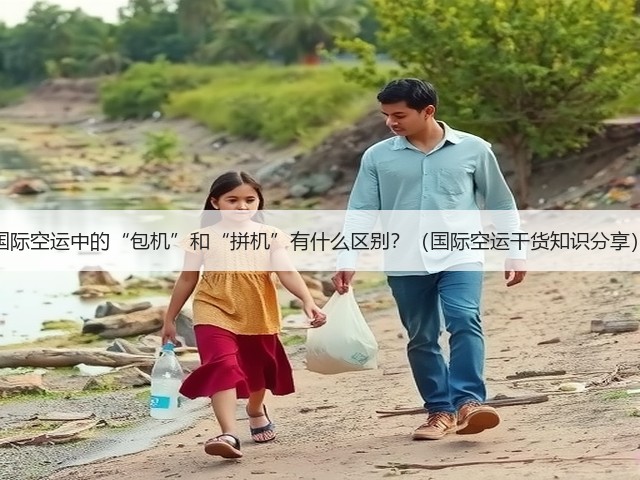 国际空运中的“包机”和“拼机”有什么区别？（国际空运干货知识分享）(图2)