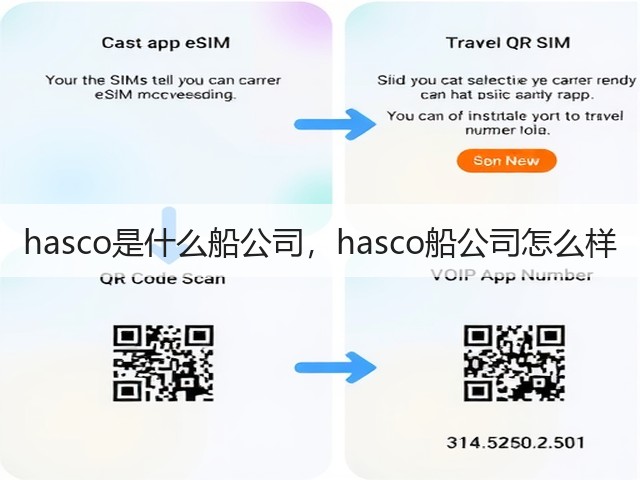 hasco是什么船公司,hasco船公司怎么样(图3) hasco是什么船公司,hasco船公司怎么样(图3)