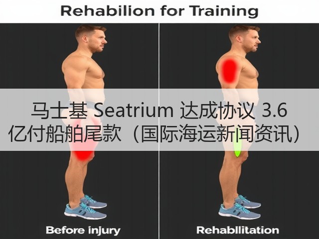 马士基 Seatrium 达成协议 3.6 亿付船舶尾款（国际海运新闻资讯）(图3)