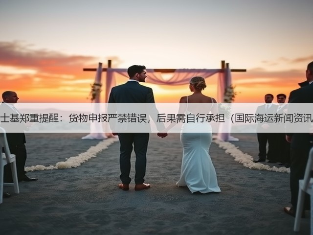 马士基郑重提醒：货物申报严禁错误，后果需自行承担（国际海运新闻资讯）(图3)