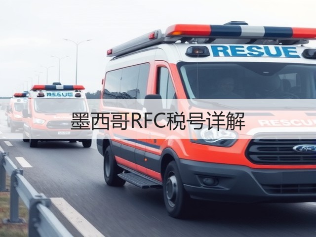 墨西哥RFC税号详解(图3) 墨西哥RFC税号详解(图3)