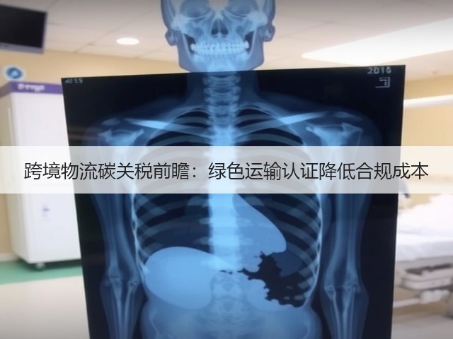 跨境物流碳关税前瞻：绿色运输认证降低合规成本(图2)