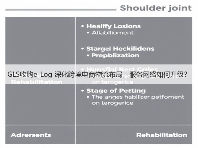 GLS收购e-Log 深化跨境电商物流布局,服务网络如何升级?(图3) GLS收购e-Log 深化跨境电商物流布局,服务网络如何升级?(图3)