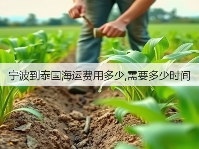宁波到泰国海运费用多少,需要多少时间(图2) 宁波到泰国海运费用多少,需要多少时间(图2)