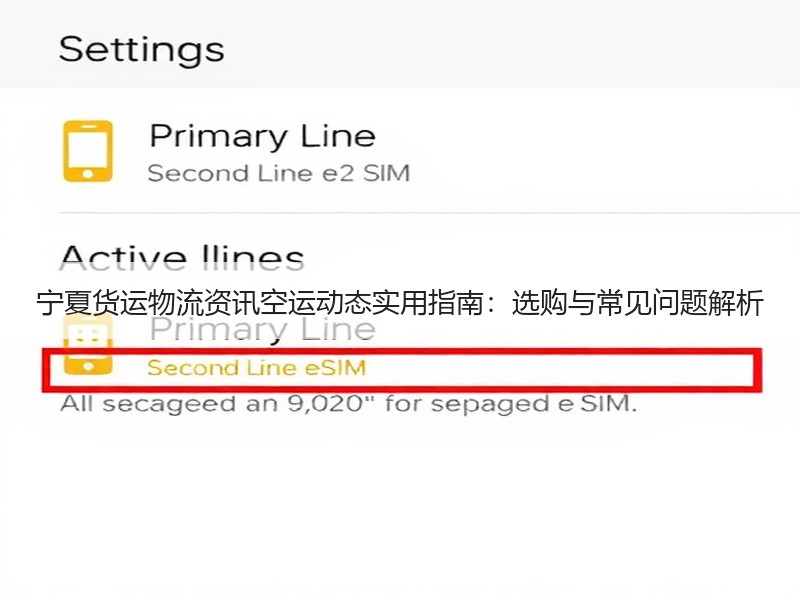 宁夏货运物流资讯空运动态实用指南：选购与常见问题解析