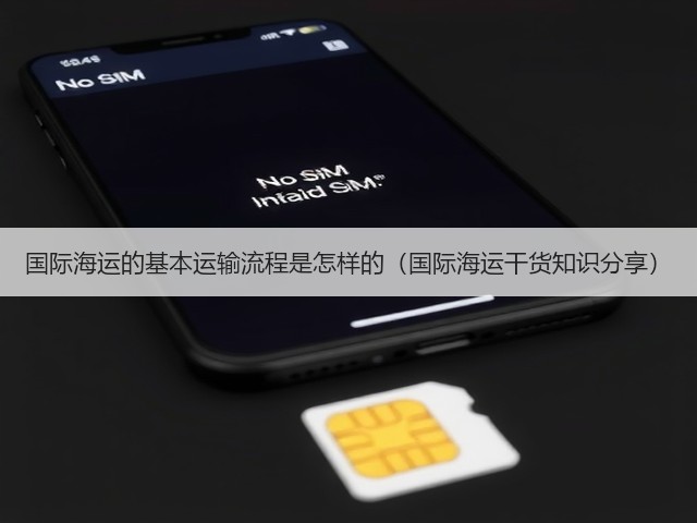国际海运的基本运输流程是怎样的(国际海运干货知识分享)(图2) 国际海运的基本运输流程是怎样的(国际海运干货知识分享)(图2)