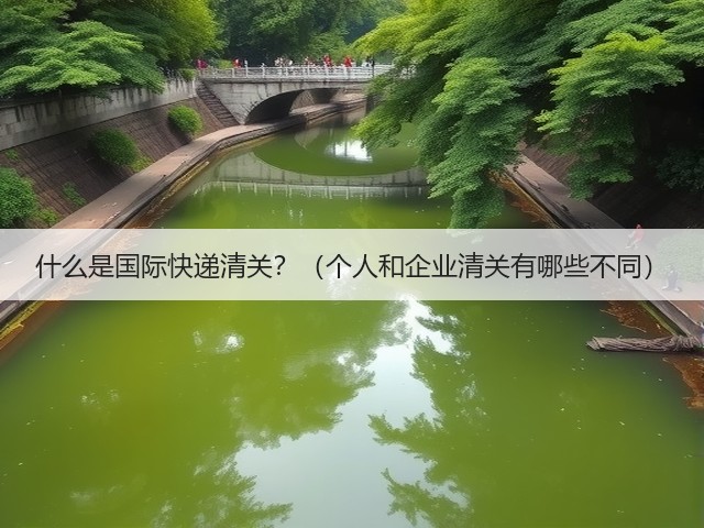 什么是国际快递清关?(个人和企业清关有哪些不同)(图1) 什么是国际快递清关?(个人和企业清关有哪些不同)(图1)