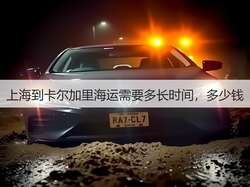 上海到卡尔加里海运需要多长时间,多少钱 上海到卡尔加里海运需要多长时间,多少钱