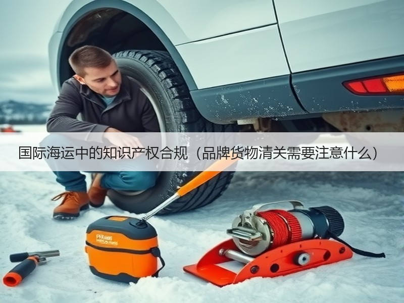国际海运中的知识产权合规（品牌货物清关需要注意什么）