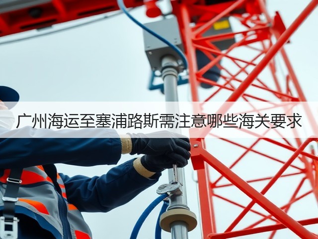 广州海运至塞浦路斯需注意哪些海关要求(图1) 广州海运至塞浦路斯需注意哪些海关要求(图1)