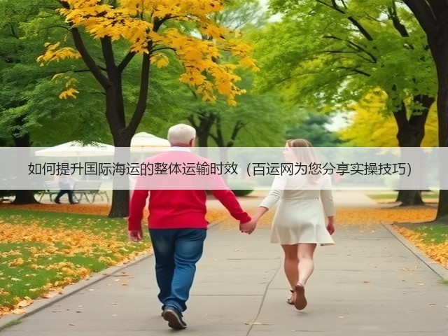 如何提升国际海运的整体运输时效(百运网为您分享实操技巧)(图3) 如何提升国际海运的整体运输时效(百运网为您分享实操技巧)(图3)