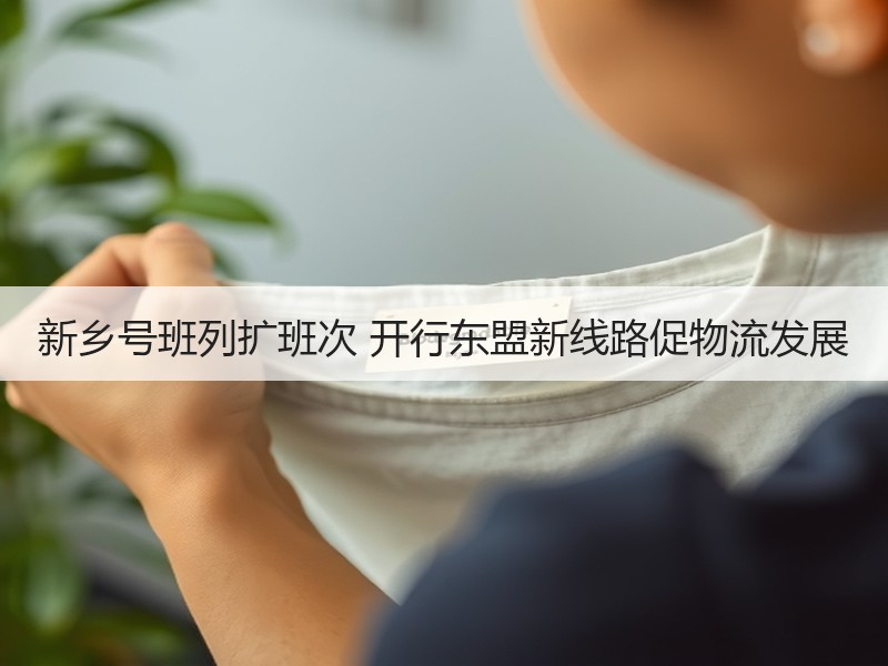 新乡号班列扩班次 开行东盟新线路促物流发展 新乡号班列扩班次 开行东盟新线路促物流发展