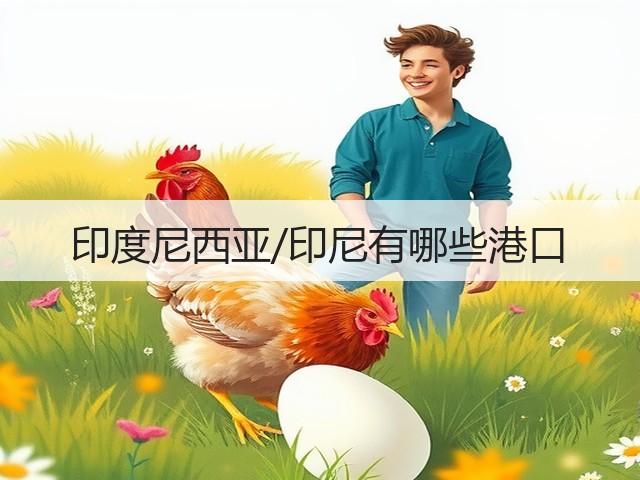 印度尼西亚/印尼有哪些港口(图1) 印度尼西亚/印尼有哪些港口(图1)
