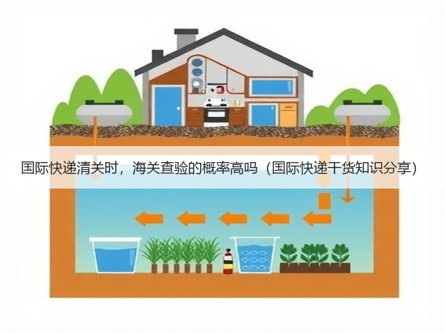 国际快递清关时,海关查验的概率高吗(国际快递干货知识分享)(图2) 国际快递清关时,海关查验的概率高吗(国际快递干货知识分享)(图2)
