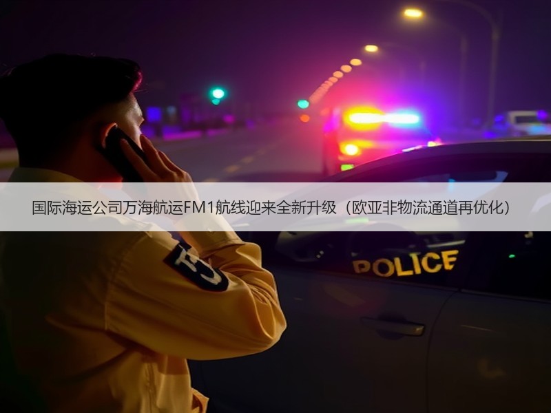 国际海运公司万海航运FM1航线迎来全新升级(欧亚非物流通道再优化) 国际海运公司万海航运FM1航线迎来全新升级(欧亚非物流通道再优化)
