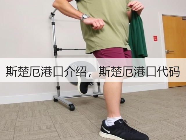 斯楚厄港口介绍,斯楚厄港口代码(图3) 斯楚厄港口介绍,斯楚厄港口代码(图3)
