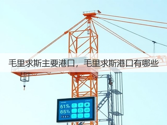 毛里求斯主要港口,毛里求斯港口有哪些(图2) 毛里求斯主要港口,毛里求斯港口有哪些(图2)