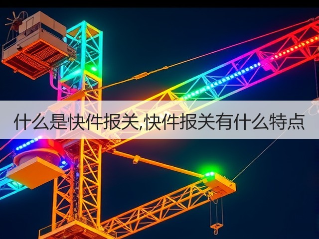 什么是快件报关,快件报关有什么特点(图3) 什么是快件报关,快件报关有什么特点(图3)