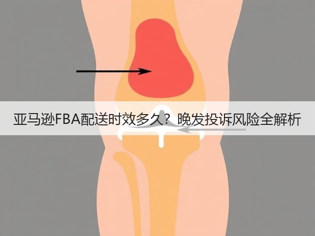 亚马逊FBA配送时效多久?晚发投诉风险全解析(图1) 亚马逊FBA配送时效多久?晚发投诉风险全解析(图1)