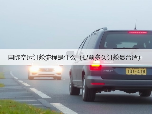 国际空运订舱流程是什么(提前多久订舱最合适)(图3) 国际空运订舱流程是什么(提前多久订舱最合适)(图3)
