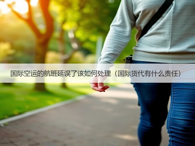 国际空运的航班延误了该如何处理(国际货代有什么责任)(图3) 国际空运的航班延误了该如何处理(国际货代有什么责任)(图3)