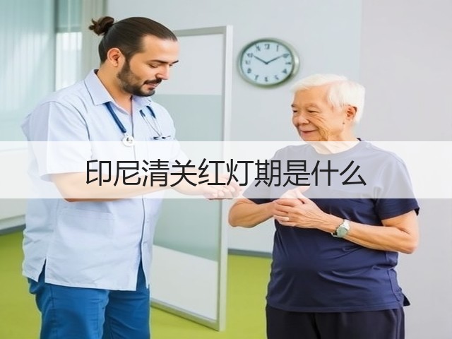 印尼清关红灯期是什么(图3) 印尼清关红灯期是什么(图3)