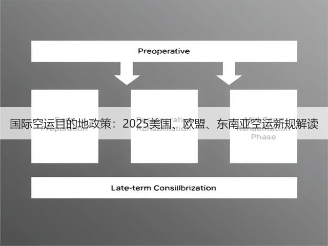 国际空运目的地政策：2025美国、欧盟、东南亚空运新规解读(图2)
