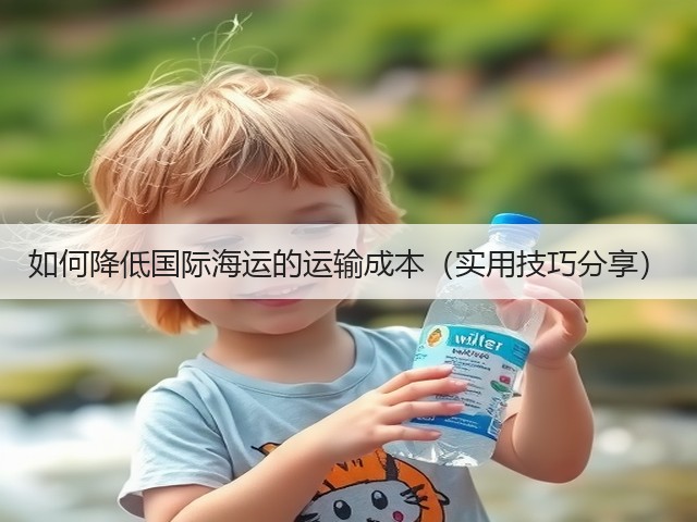 如何降低国际海运的运输成本(实用技巧分享)(图2) 如何降低国际海运的运输成本(实用技巧分享)(图2)