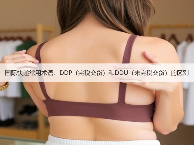 国际快递常用术语:DDP(完税交货)和DDU(未完税交货)的区别(图3) 国际快递常用术语:DDP(完税交货)和DDU(未完税交货)的区别(图3)