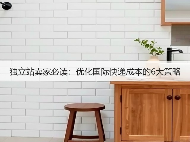 独立站卖家必读:优化国际快递成本的6大策略(图2) 独立站卖家必读:优化国际快递成本的6大策略(图2)