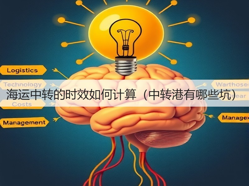 海运中转的时效如何计算（中转港有哪些坑）