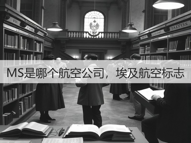 MS是哪个航空公司，埃及航空标志