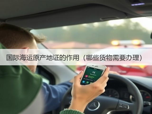 国际海运原产地证的作用(哪些货物需要办理)(图2) 国际海运原产地证的作用(哪些货物需要办理)(图2)