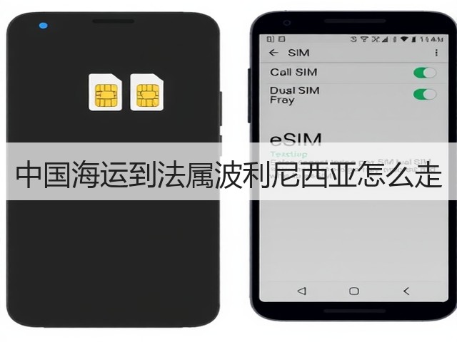 中国海运到法属波利尼西亚怎么走(图2)