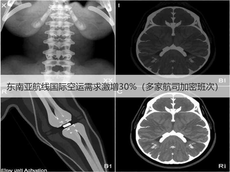 东南亚航线国际空运需求激增30%(多家航司加密班次) 东南亚航线国际空运需求激增30%(多家航司加密班次)